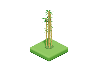 Bamboo: A clump of tall bamboo canes.