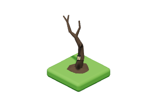 Crooked Tree: A hunched old tree with a lantern swinging from a branch.