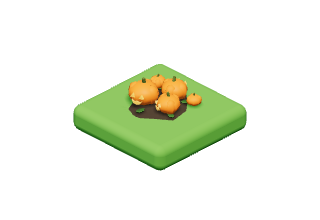 Pumpkin Patch: Carved pumpkins that grin and glow at night.